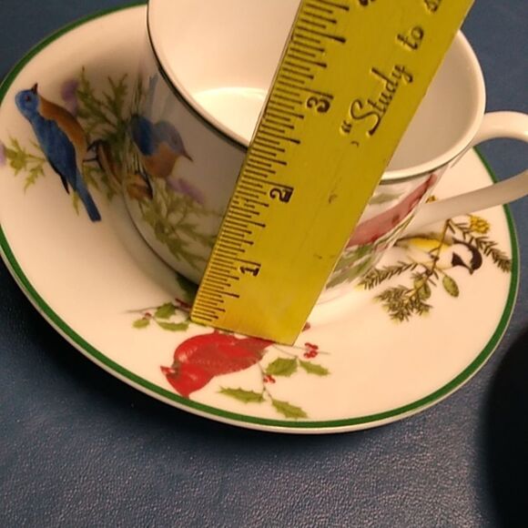 National Wildlife Federation Floral Bird Design Tea Cup and Saucer Set - Picture 7 of 7